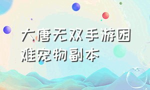 大唐无双手游困难宠物副本