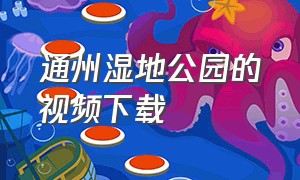 通州湿地公园的视频下载（通州运河湿地公园景色视频）