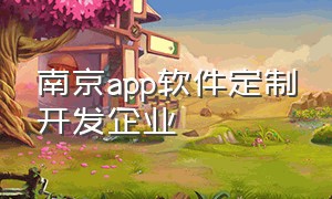 南京app软件定制开发企业