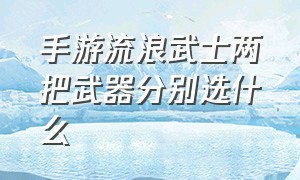 手游流浪武士两把武器分别选什么