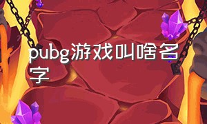 pubg游戏叫啥名字