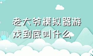 老大爷模拟器游戏到底叫什么