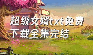 超级女婿txt免费下载全集完结