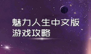 魅力人生中文版游戏攻略