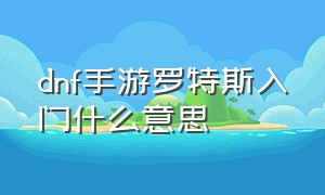 dnf手游罗特斯入门什么意思