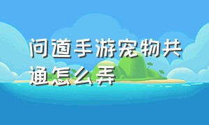 问道手游宠物共通怎么弄