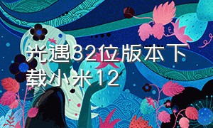 光遇32位版本下载小米12（小米12ultra澎湃os安装包下载）