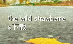the wild strawberries下载