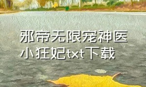 邪帝无限宠神医小狂妃txt下载