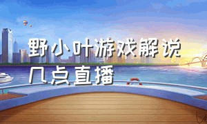 野小叶游戏解说几点直播（野小叶游戏解说好看视频）