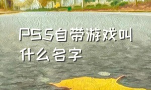 PS5自带游戏叫什么名字