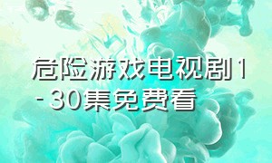 危险游戏电视剧1-30集免费看