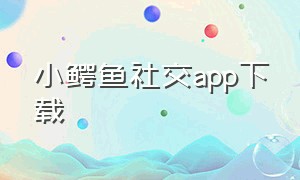 小鳄鱼社交app下载