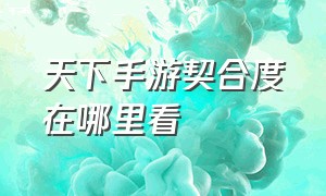 天下手游契合度在哪里看