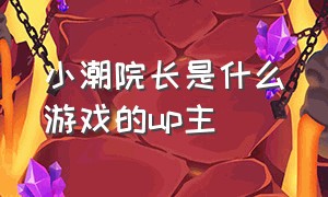 小潮院长是什么游戏的up主（小潮院长是b站的还是抖音的）