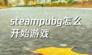 steampubg怎么开始游戏
