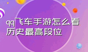 qq飞车手游怎么看历史最高段位