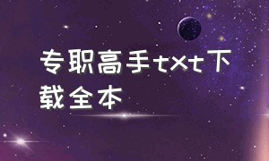 专职高手txt下载全本（专职高手叶凌天txt全本免费下载）