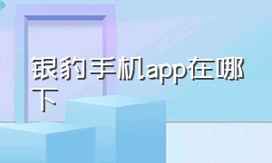 银豹手机app在哪下（银豹手机端可以添加商品图片吗）