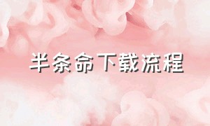 半条命下载流程