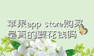 苹果app store购买是真的要花钱吗