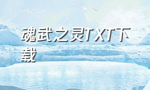 魂武之灵TXT下载