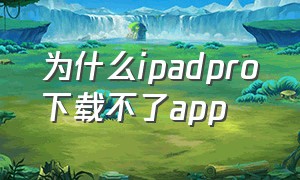为什么ipadpro下载不了app