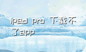 ipad pro 下载不了app
