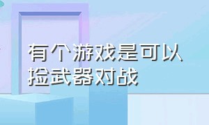 有个游戏是可以捡武器对战（可以用枪可以捡武器是什么游戏）