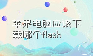 苹果电脑应该下载哪个flash