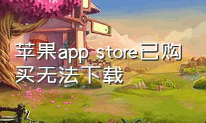 苹果app store已购买无法下载（苹果apple store隐藏软件）