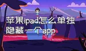 苹果ipad怎么单独隐藏一个app