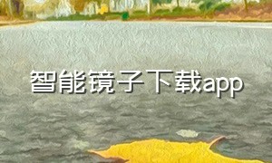 智能镜子下载app