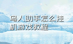 鸟人助手怎么挂机游戏教程