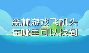 森林游戏飞机头在哪里可以找到