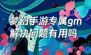 梦幻手游专属gm解决问题有用吗（梦幻西游手游专属gm会自动消失吗）