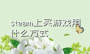 steam上买游戏用什么方式