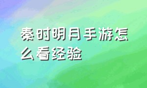 秦时明月手游怎么看经验（秦时明月手游）