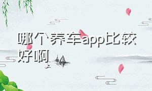 哪个养车app比较好啊（哪个养车app比较好啊安全）