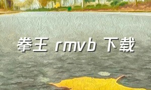 拳王 rmvb 下载（拳王全集免费）