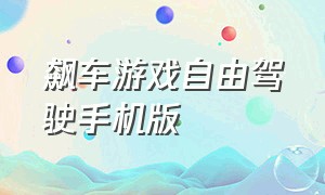 飙车游戏自由驾驶手机版