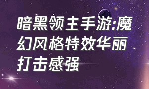 暗黑领主手游:魔幻风格特效华丽打击感强