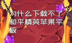 为什么下载不了和平精英苹果平板