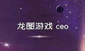 龙图游戏 ceo