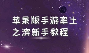 苹果版手游率土之滨新手教程（率土之滨苹果怎么玩安卓渠道服）