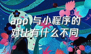 app 与小程序的对比有什么不同