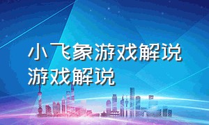 小飞象游戏解说游戏解说