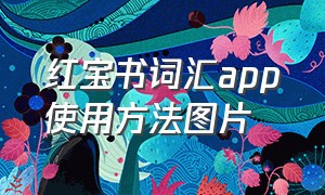 红宝书词汇app使用方法图片