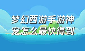 梦幻西游手游神宠怎么最快得到