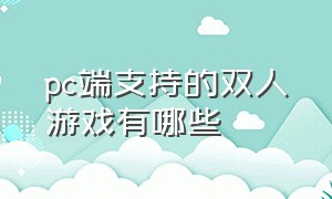 pc端支持的双人游戏有哪些